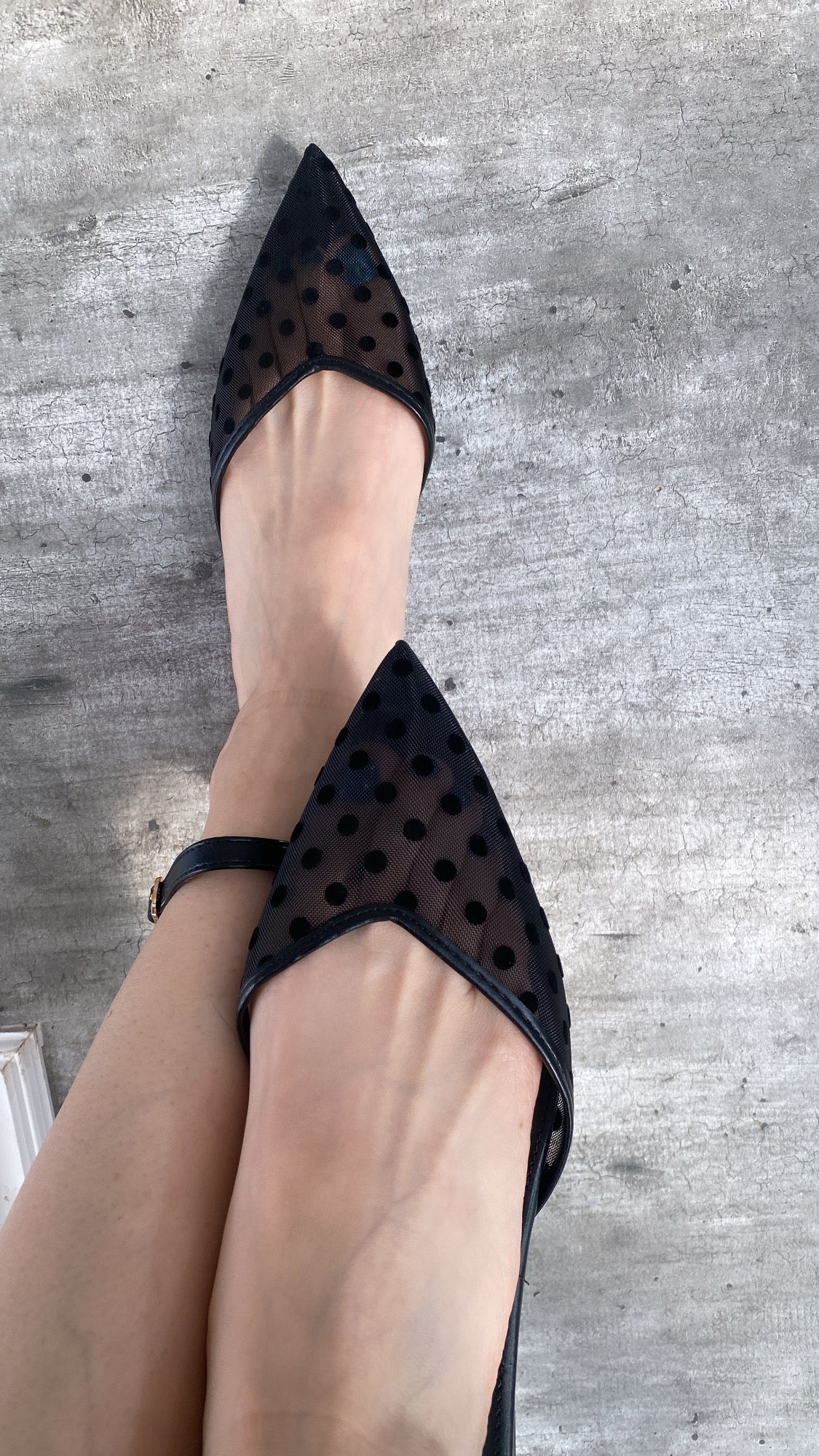 Brie Negro